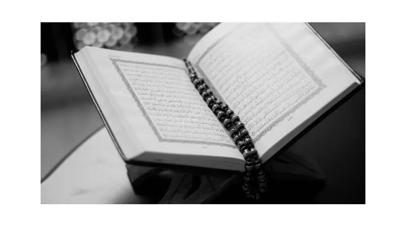 Tekasür Suresi: Dünya Hırsının Kalbe Dokunan Tefsiri ve Faziletleri