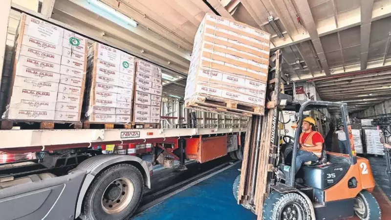 Türkiye'nin İyilik Gemisi Mısır'da! Yardım Eli Uzandı, Kalpler Isındı