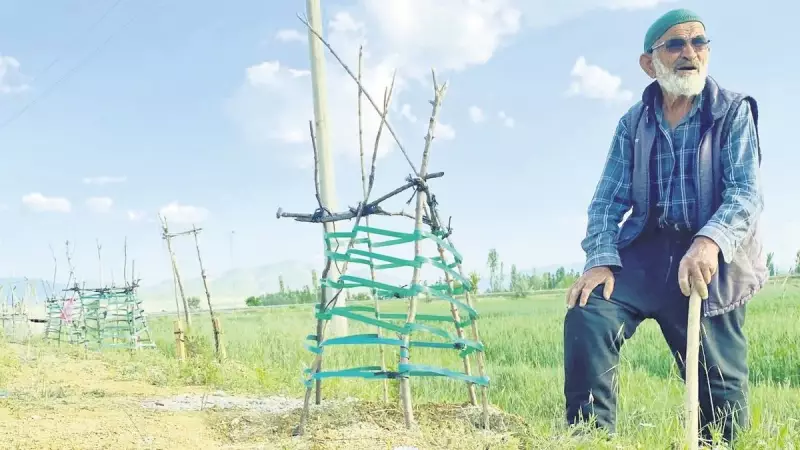 Yeşil Bir Adım Daha: Muğla'da Toprakla Buluşan Binlerce Fidan Doğaya Can Katıyor