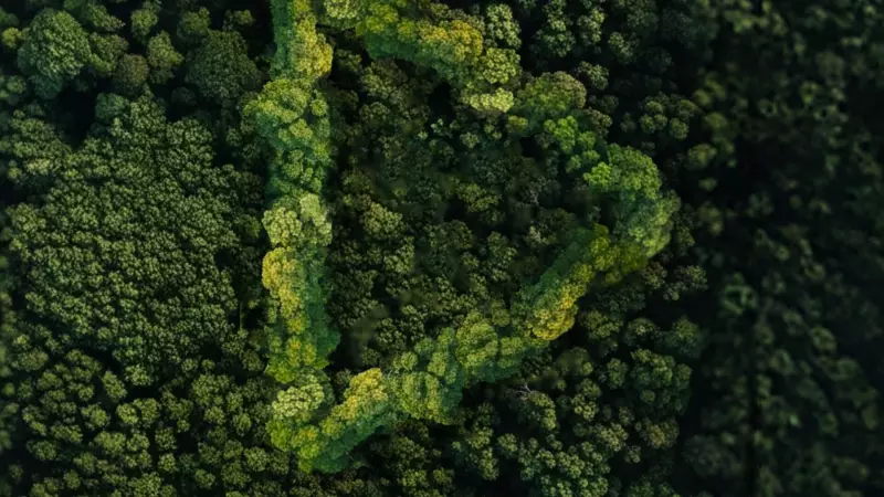 Yeşil Vatan İçin Kısa Film Yarışması: Son Başvuru 30 Kasım!