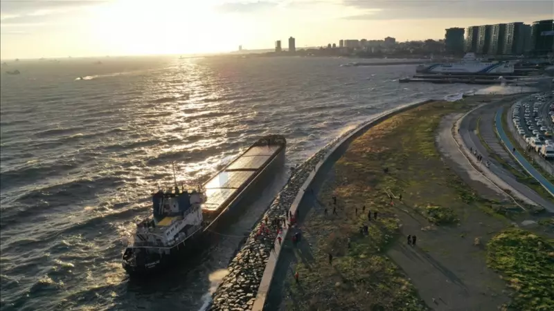 Zeytinburnu Nerede? İstanbul'un Bu Saklı Cennetini Keşfedin!