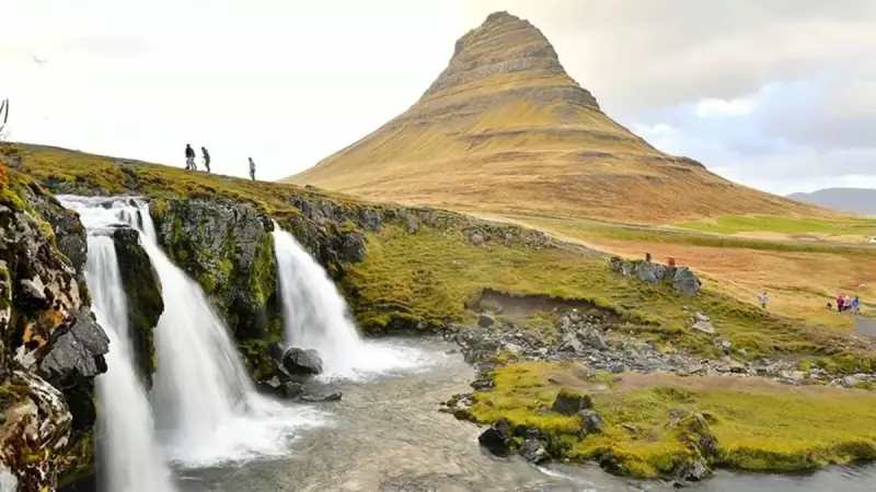 İzlanda'da İklim Değişikliği Alarmı: Sivrisinekler Kuzey Ülkesinde Görüldü!