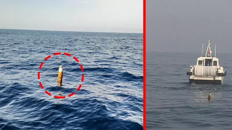 Zonguldak'ta Salyangoz Avı Sırasında Bulunan Şoke Edici Nesne: Tüm Bölge Alarmda!