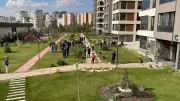 Şanlıurfa'da Alacak Verecek Kavgası Kanlı Bitti: 4 Kişi Yaralandı!