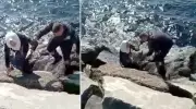 Avcılar Sahilinde Nefes Kesici Kurtarma! Kayalıklara Sıkışan Kadını Güvenlik Görevlisi Fedakarca Kurtardı