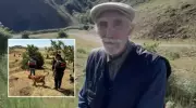 Sivas'ta Acı Son: Kayıp Alzheimer Hastası Yaşlı Adamın Cansız Bedeni Bulundu