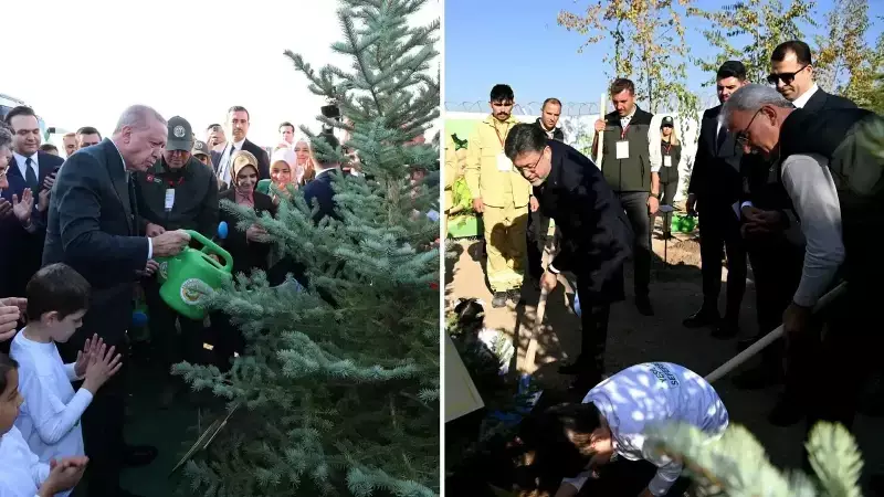 11 Kasım'da Rekor Kırıldı: 1,5 Milyon Kişi 15 Milyon Fidan Dikti