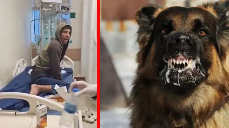 17 Yaşındaki Hasan Kuduzdan Hayatını Kaybetti: Son Anları Kameralarda