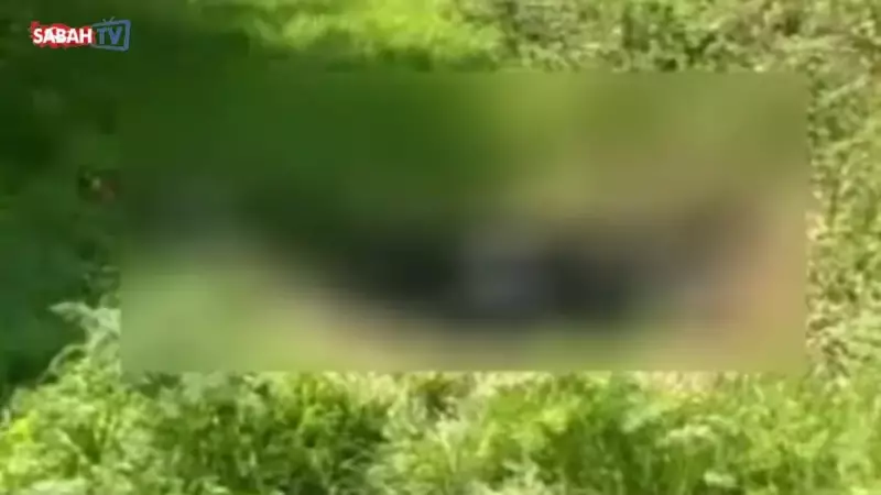 19 Yıllık Cinayet Sırrı Çözüldü: Öğretmeni Öldüren Eski Öğrencisi Çıktı