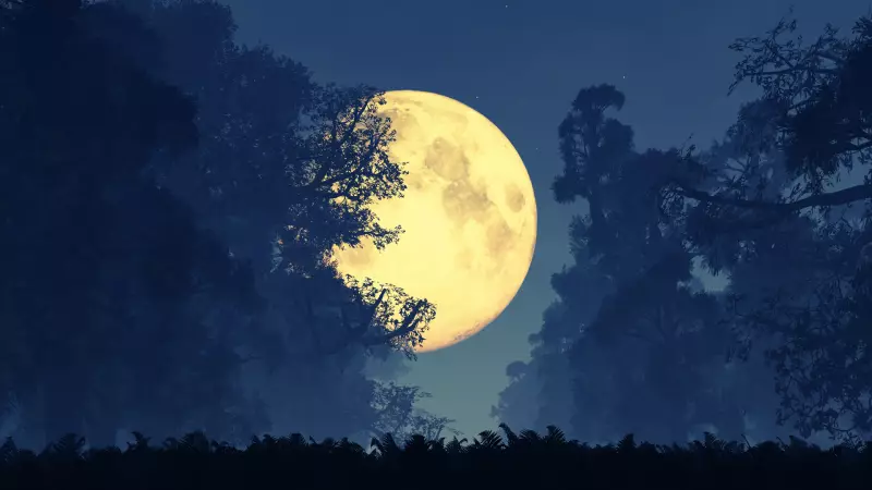 5 Kasım'da Gökyüzünde Nefesleri Kesecek Bir Manzara: Yılın En Büyük ve En Parlak Dolunayı Geliyor!