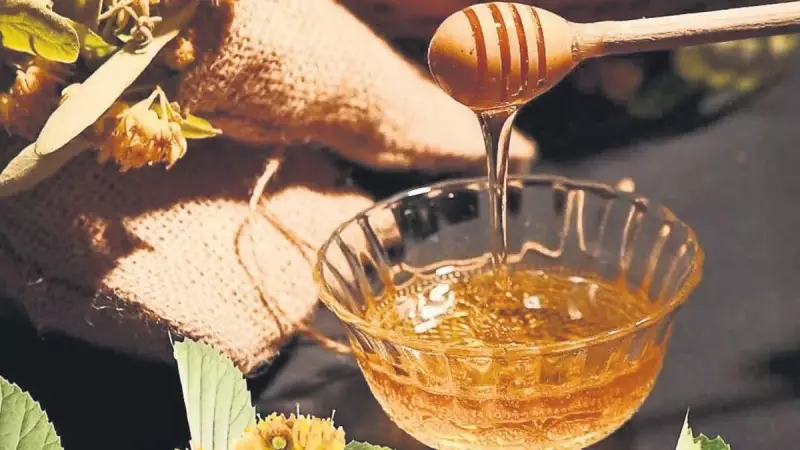 AB Vatandaşları Türk Mutfağını Keşfediyor: Lezzet Patlaması