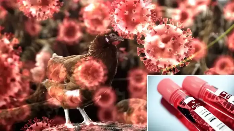 ABD'de İlk Kez Görülen H5N5 Kuş Gribi Vakası Ölümle Sonuçlandı