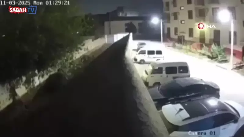 Afganistan'ı Sarsan Deprem: 6.3 Büyüklüğünde Yer Sallandı, Can Kaybı 20'ye Ulaştı