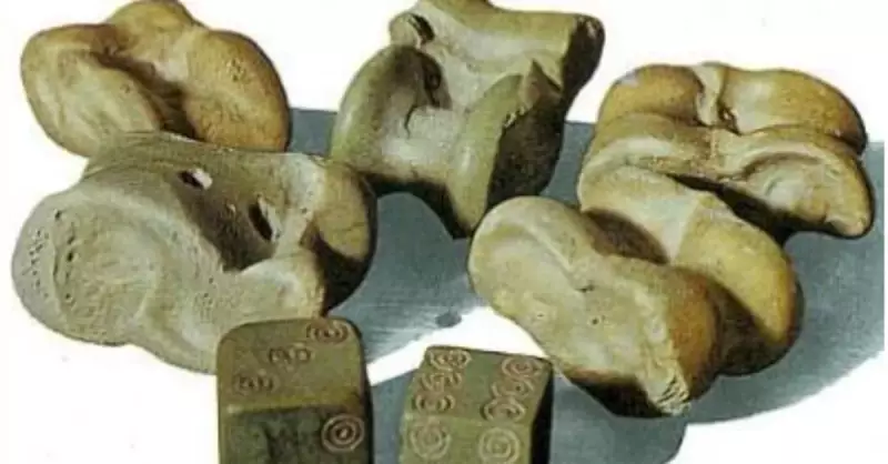 Aşık Kemiği Nerede? Ayak Anatomisindeki Kritik Rolü ve Ağrısı