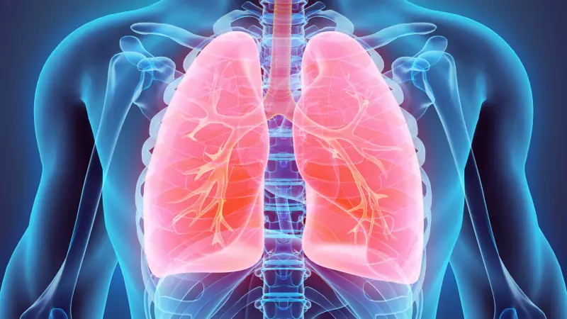 Akciğer Kanseri Alarmı: Son 5 Yılda Vakalar %15 Arttı! İşte Hayat Kurtaran Öneriler