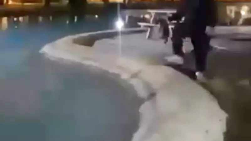 Antalya'da Sokak Kedisine İşkence: Defalarca Havuza Atıldı