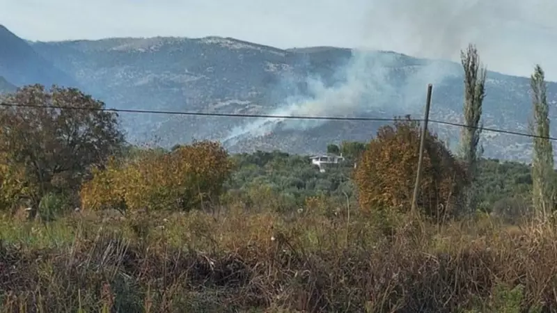 Aydın Bozdoğan'da Zeytinlik Yangını: Rüzgara Rağmen Müdahale Sürüyor
