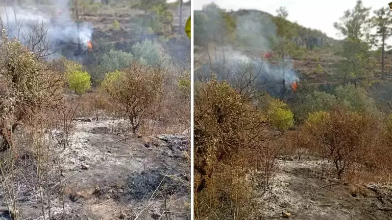 Bahçe Temizliği Sırasında Çıkan Yangında Yaşamını Yitirdi: Acı Haber Manisa'dan