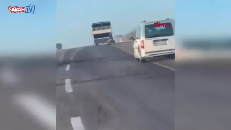 Batman'da Kamyonetin Arkasına Bağlanan At Dakikalarca Sürüklendi