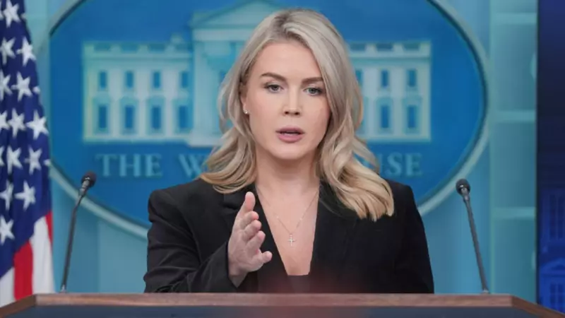 Beyaz Saray: Ukrayna Barışı İçin Görüşmeler Devam Edecek