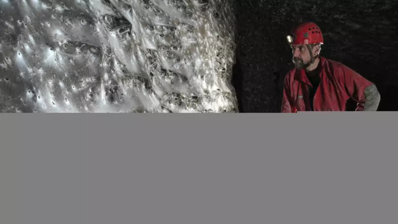 Bilim İnsanları 100 Metrekarelik Dev Örümcek Ağı Keşfetti