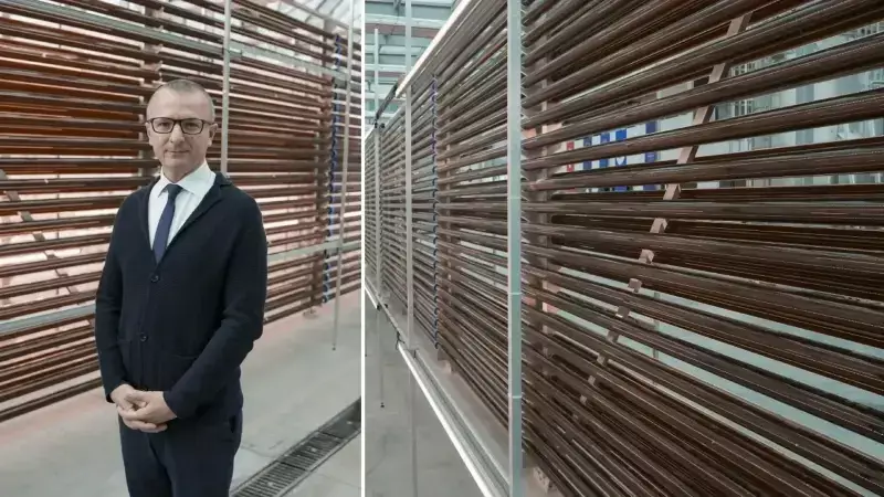 Boğaziçi'nden Mildiyö Hastalığına Doğal Çözüm: Mikroalg Biyopestisit