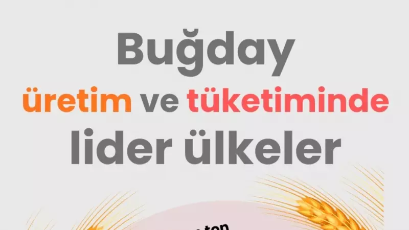 Buğday Üretiminde Rekor Bekleniyor: Türkiye Lider Ülkeler Arasında