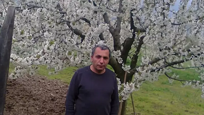 Bursa'da Ağaç Budarken Düşen Adam Hayatını Kaybetti