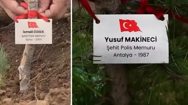 Bursa'da Şehitler İçin Binlerce Fidan Toprakla Buluştu