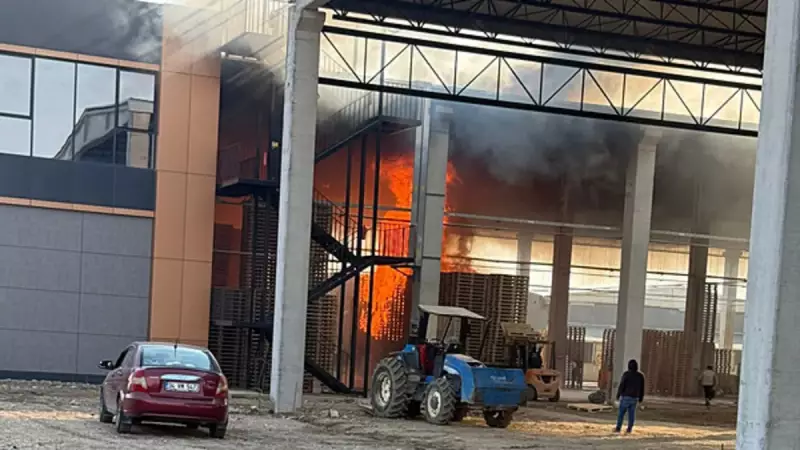 Bursa'da Palet Fabrikasında Yangın: Güneş Panellerine Sıçradı, 1 Yaralı