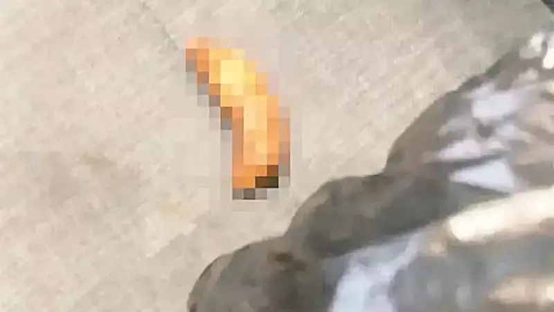 CHP İl Başkanlığı'nda Skandal Saldırı: Makama Dışkı Bırakıldı