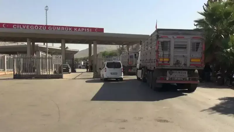 Cilve Gözü'nden İhracat Rüzgarı: 4 Ayda 50 Milyon Dolarlık Başarı Hikayesi!