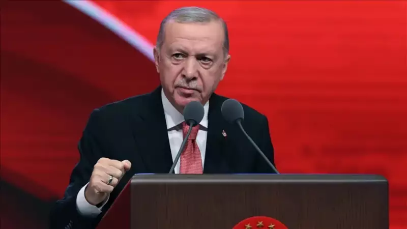 Cumhurbaşkanı Erdoğan'dan Kritik Açıklamalar: Ekonomi ve Diplomasi Vurgusu