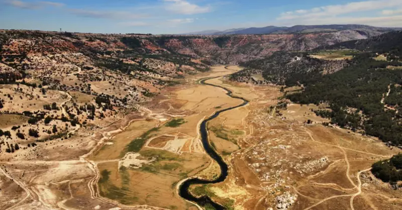 Delta Ovaları: Türkiye'nin Tarım ve Biyolojik Zenginlik Haritaları