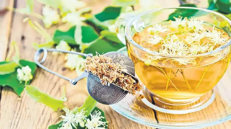 İdil Cimrin'den İhlamur Ağaçları ve Şehir Yaşamı Üzerine Etkileyici Yazı