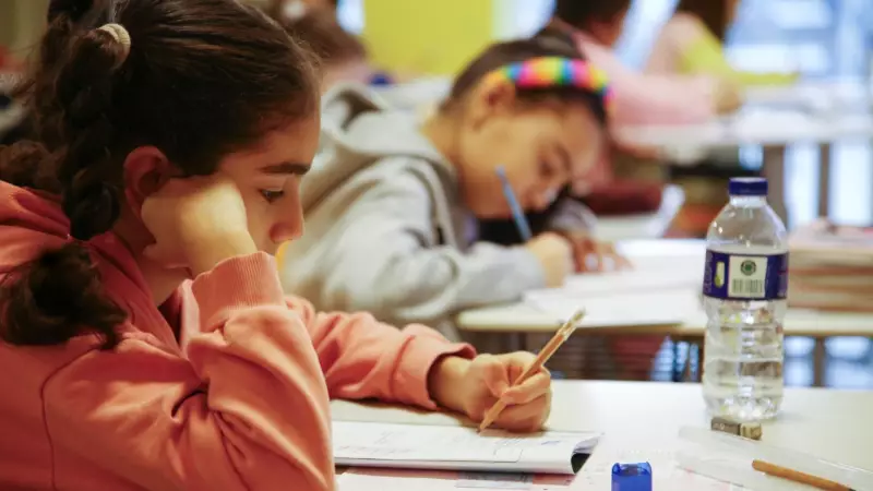 Doğa Koleji Bursluluk Sınavı 2026: %100 Burs Fırsatı