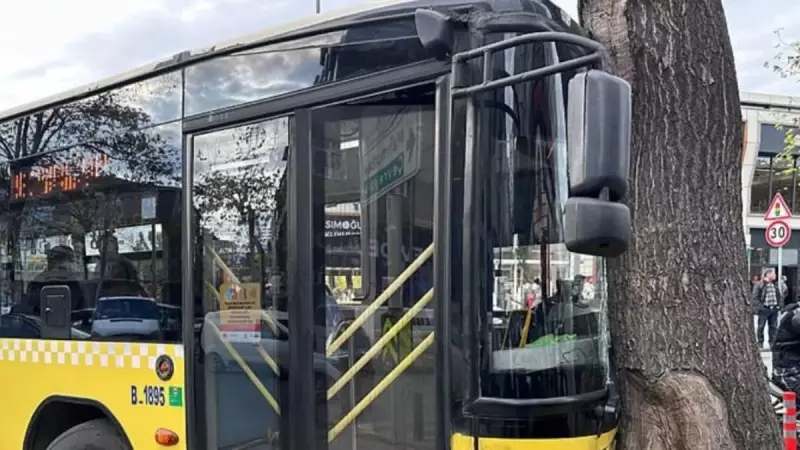 İETT Otobüsü Bağcılar'da Ağaca Çarptı: 1 Yaralı