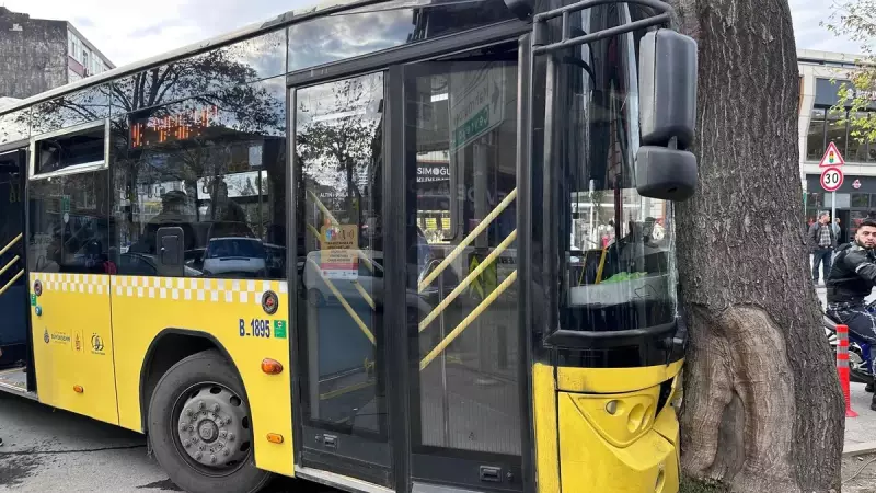 İETT Otobüsü Bağcılar'da Ağaca Çarptı: 5 Yaralı