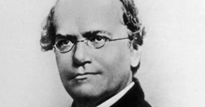 Gregor Mendel: Bezelyelerle Genetik Bilimin Temelini Atan Bilim İnsanı