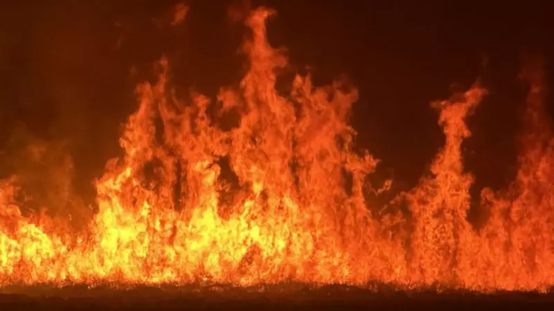 Hakkari'de Nehil Sazlığı Yangını: Ekipler Zorlu Mücadele Veriyor