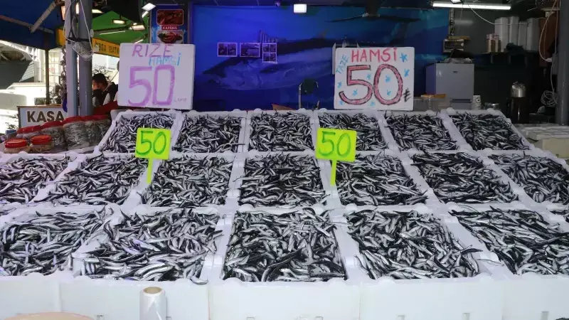 Hamsi Bolluğu Balıkçı Tezgahlarını İndirdi: Fiyatlar 50 Liradan Başlıyor