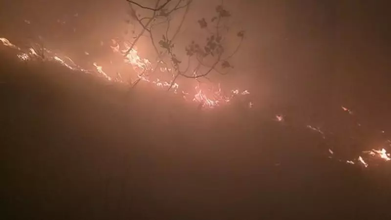 Hatay Arsuz'da Orman Yangını: Ekipler Karadan Müdahale Ediyor