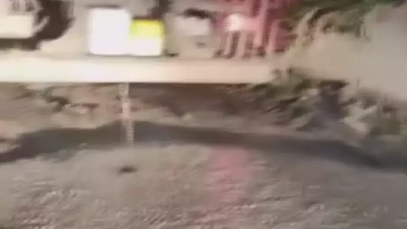 Hatay'da Yolun Ortasına Beton Döken Mikser Sürücüsü: 'Firmamız Zengin, Cezayı Öderiz'