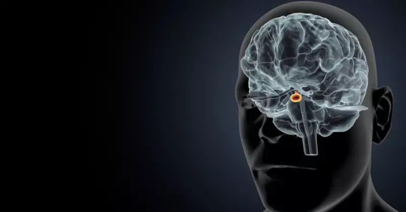 Hipofiz Bezi Yetmezliği: Belirtileri, Etkileri ve Tedavisi