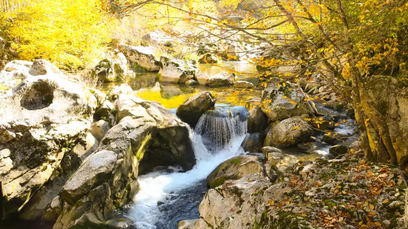 Horma Kanyonu'nda Sonbahar Büyüsü: Hazan Renkleriyle Bezeli Doğa Harikası