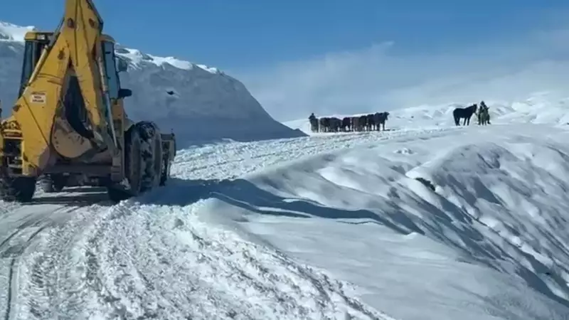 Şiddetli Kar Yağışı 7 İlde Ulaşımı Felç Etti: 70'ten Fazla Yerleşim Yeri İzole