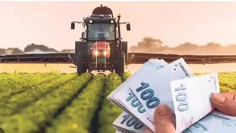 Çiftçilere 331.6 Milyon TL Tarımsal Destek Ödemesi Yapıldı