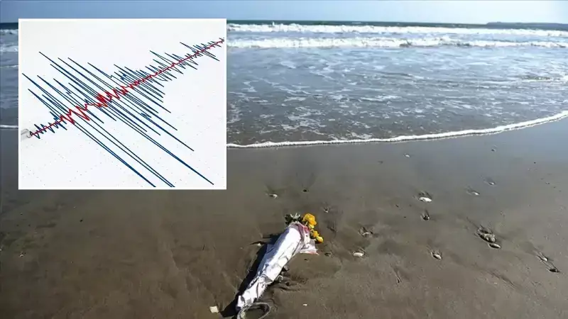 Japonya'da 6.8 Büyüklüğünde Deprem: Tsunami Dalgaları Gözlemlendi