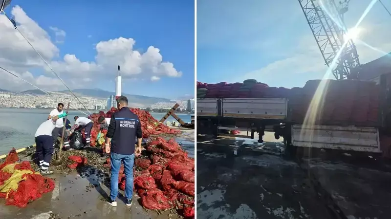 Kaçak Midye Operasyonu: 27 Ton Midiye Ele Geçirildi