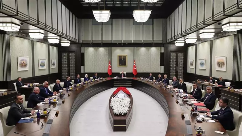 Kabine Toplantısı Kararları Açıklandı: Gürcistan'daki Uçak Kazası ve Ekonomi Vurgusu